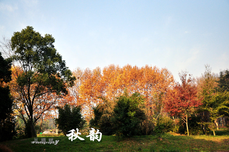 dsc_5243.jpg