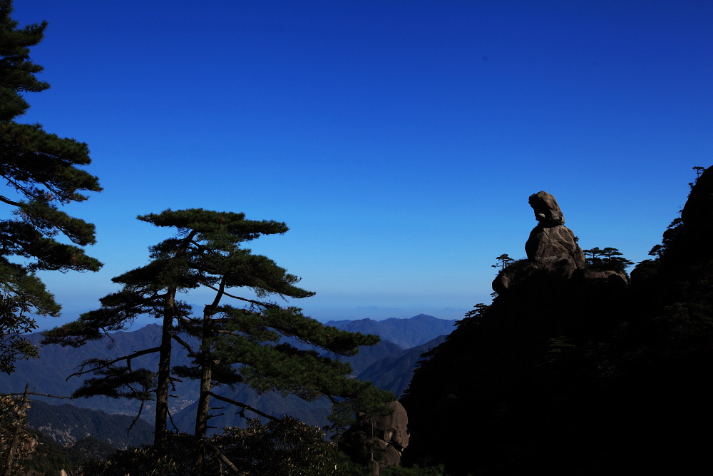 dpp_0584.jpg