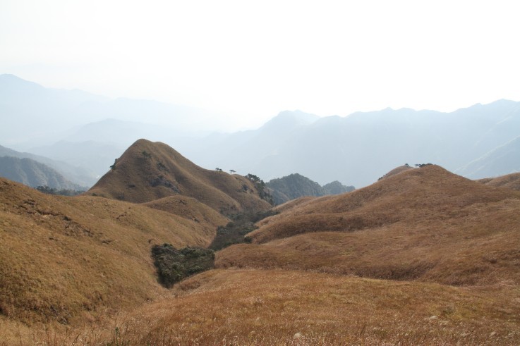 88.jpg