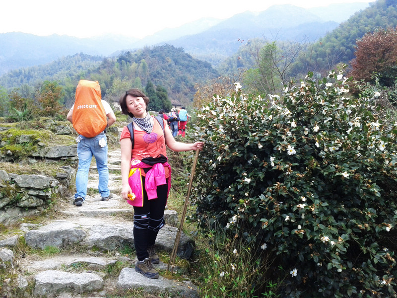 img_2011112Ӵʢɽ軨ӭǵĵ.jpg