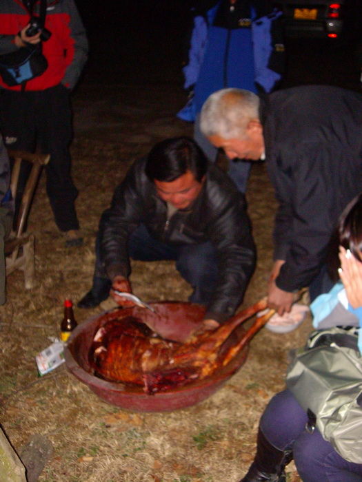 20111162332052243.jpg