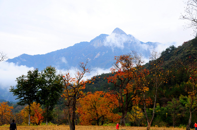 dsc_0084.jpg