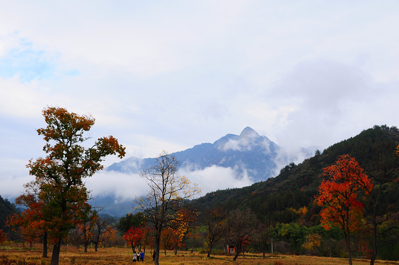 dsc_0087.jpg