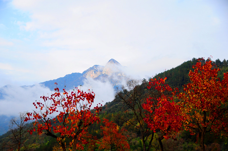 dsc_0119.jpg