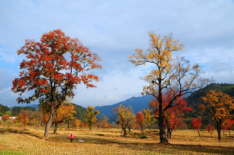 dsc_0260.jpg