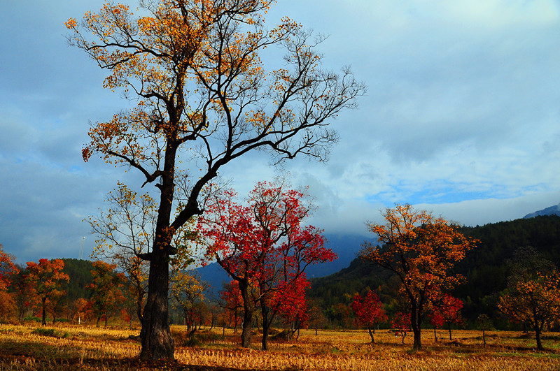 dsc_0282.jpg
