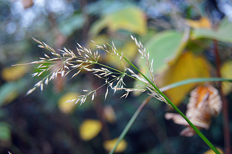 dsc00436__.jpg