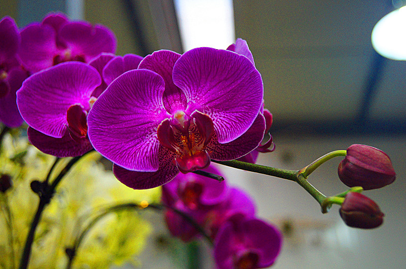 dsc00478__.jpg