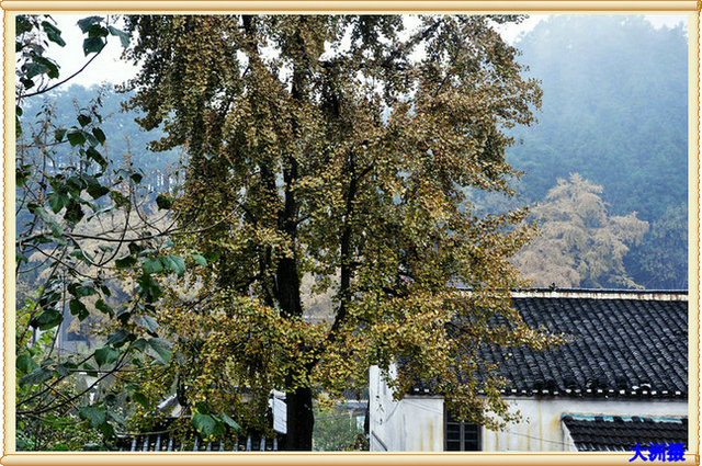 dsc_0050.jpg
