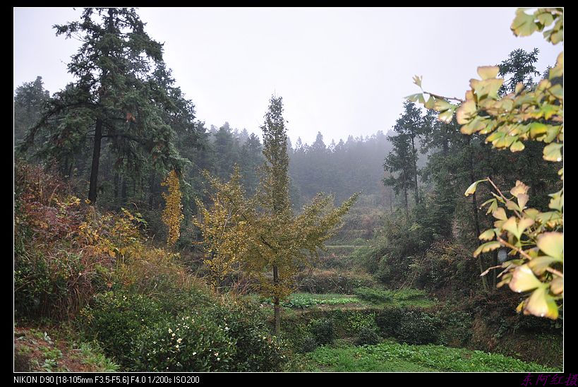 dsc_1559.jpg