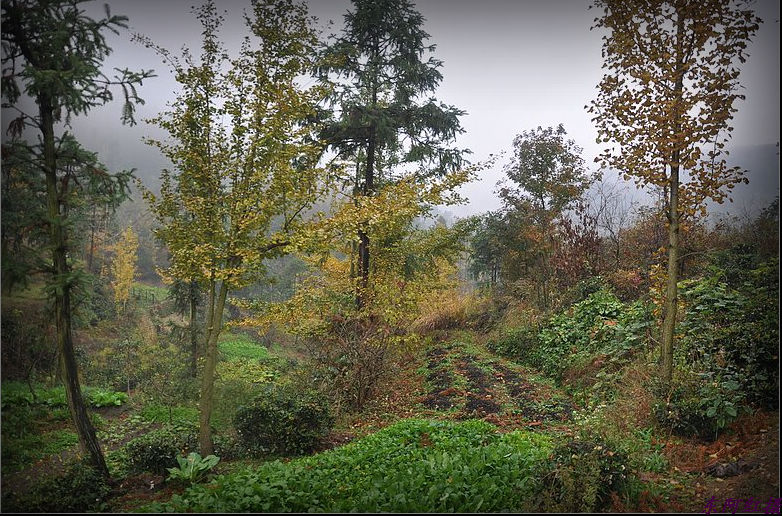 dsc_1560.jpg