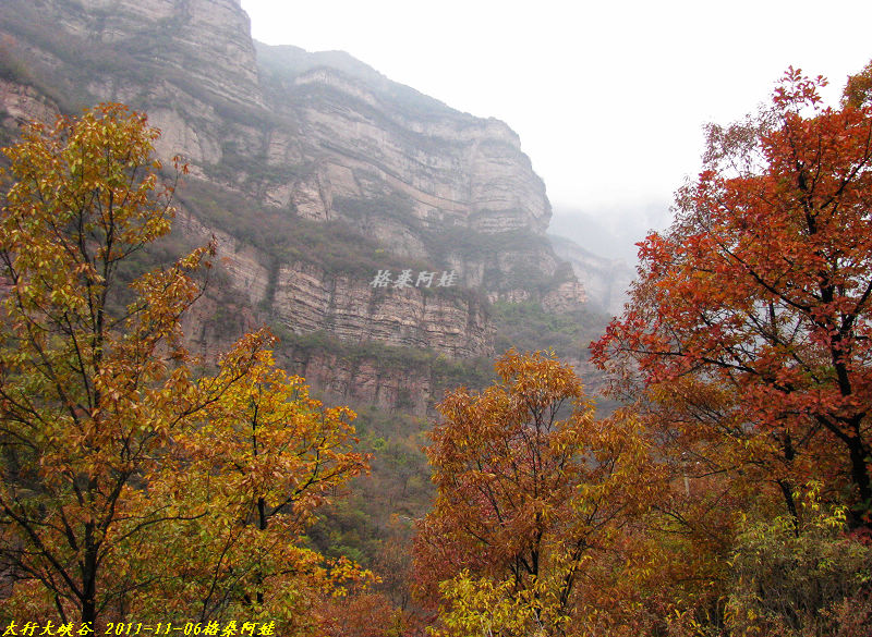 2011ʯҴϿ 1832-1.jpg