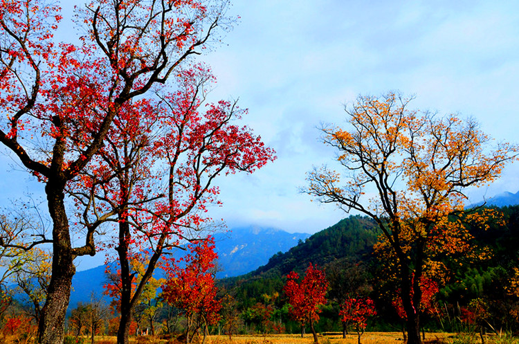 dsc_0309a.jpg