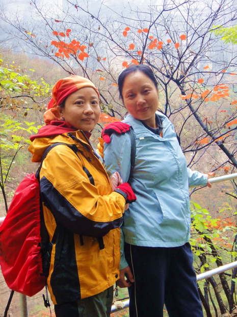 dsc08352.jpg