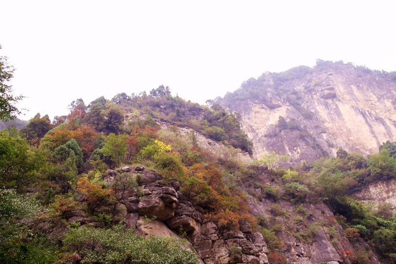 ̫(һ) 108.jpg