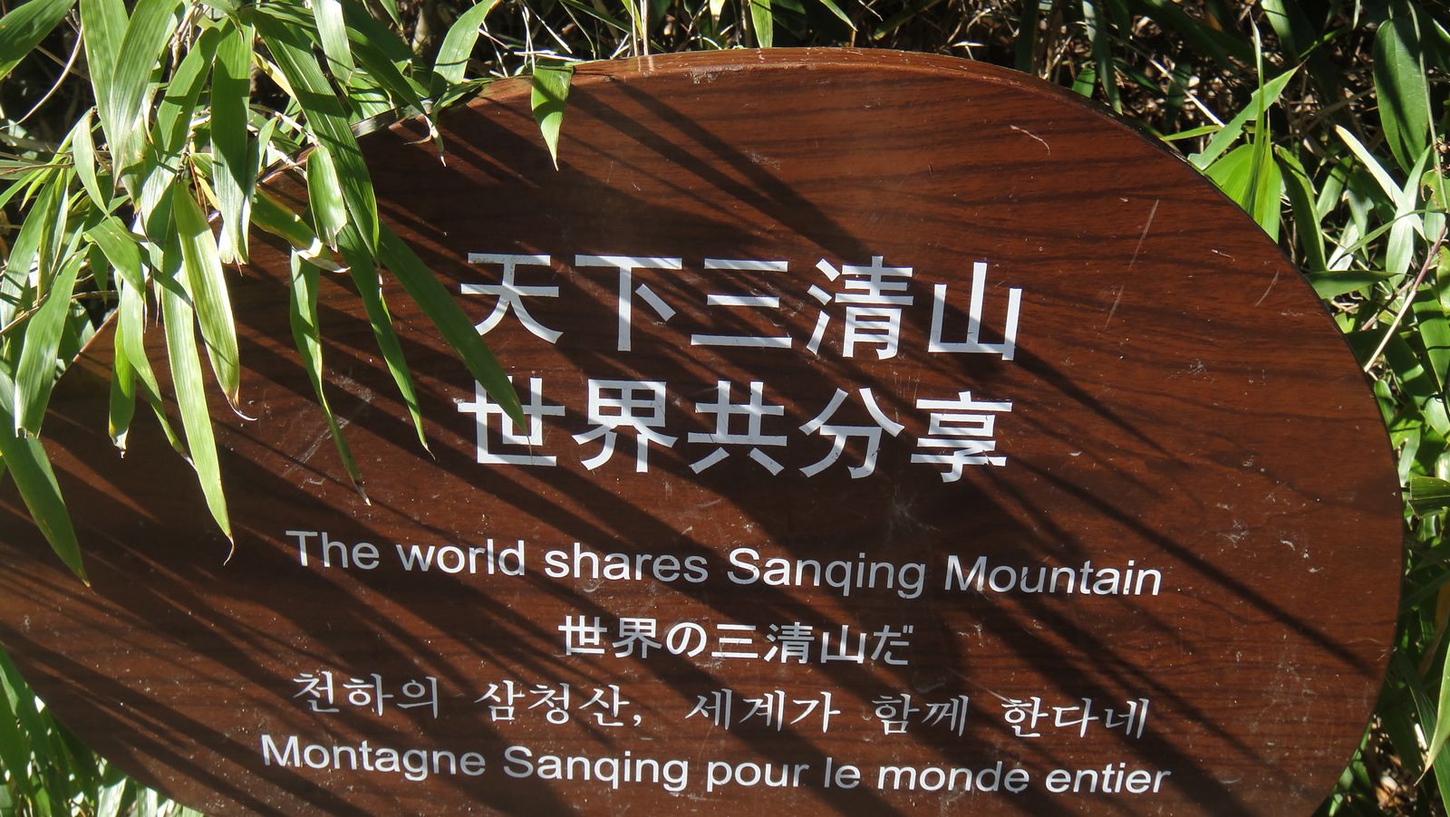 dsc08325.jpg