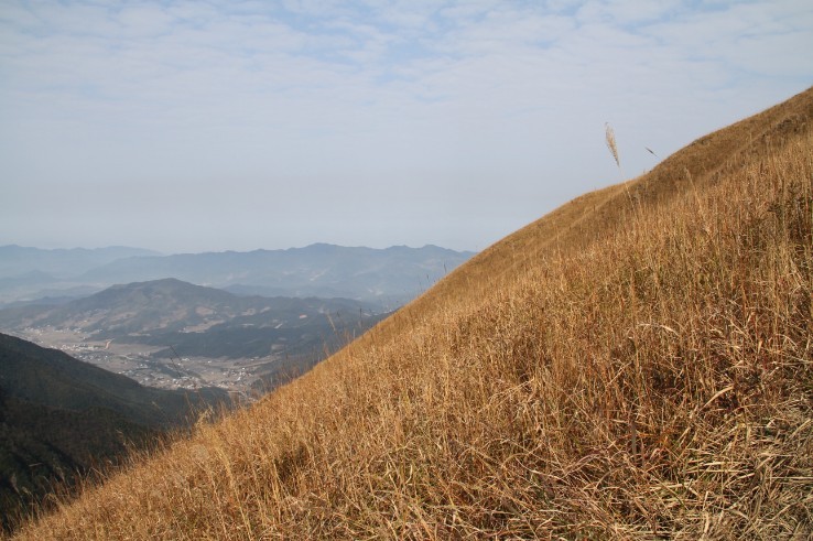 94.jpg