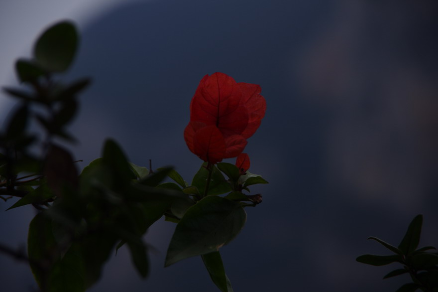 С imgp8609.jpg