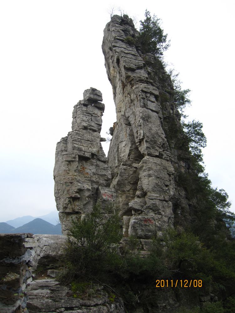  185.jpg