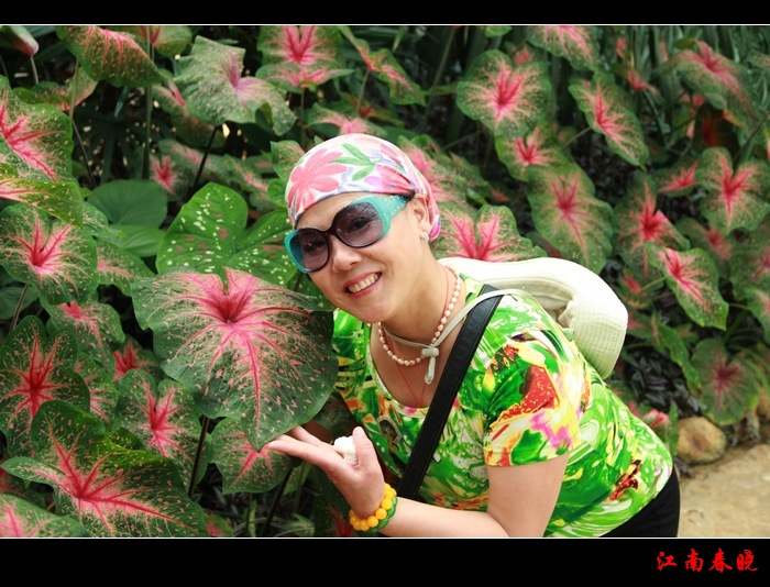 neo_img_img_1099.jpg