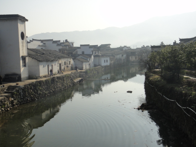 dsc02785.jpg