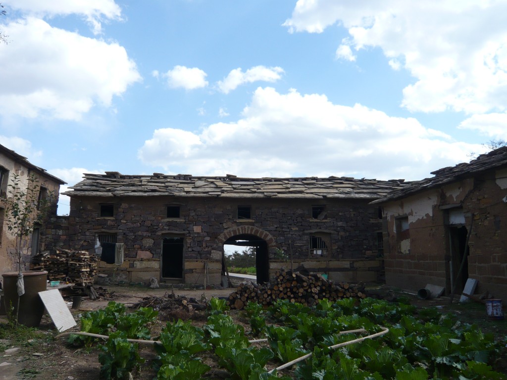 p1120446.jpg