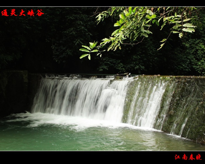 neo_img_img_2118.jpg