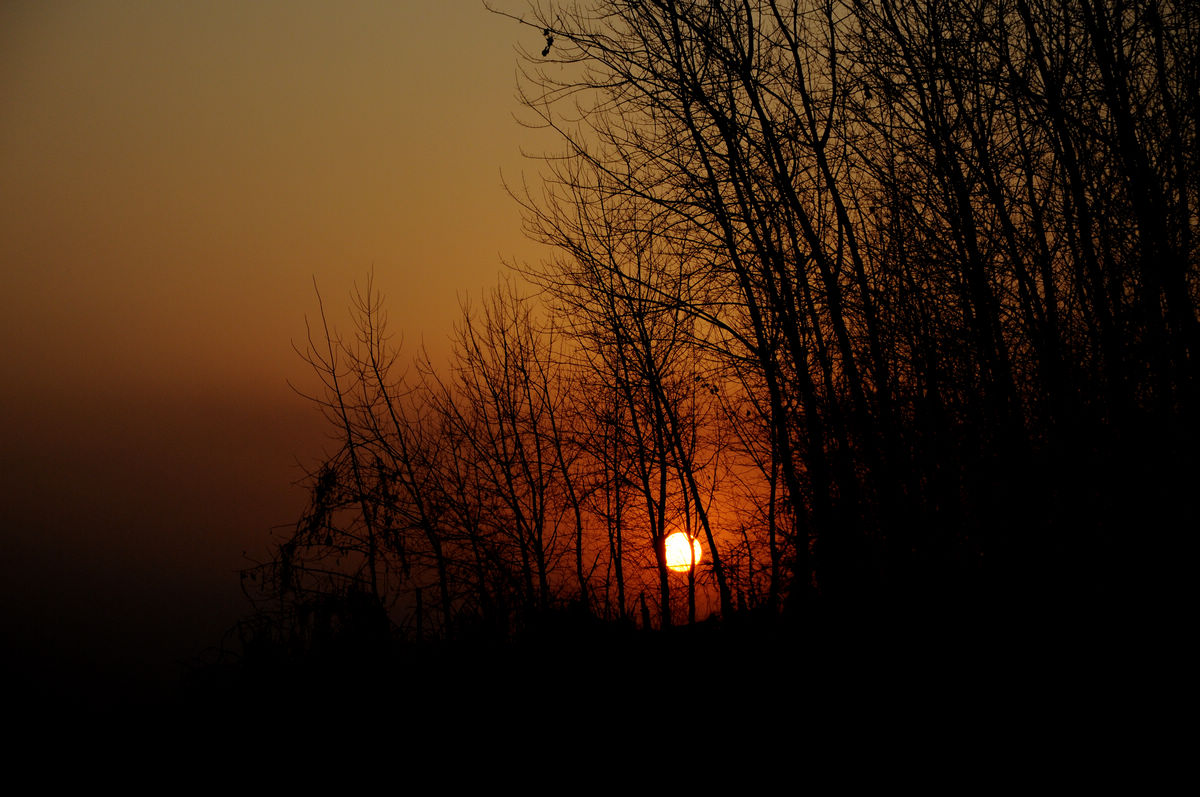 dsc_7188a.jpg
