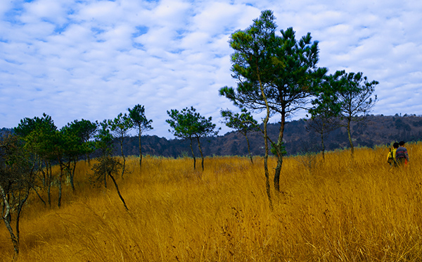 _dsc9090a.jpg