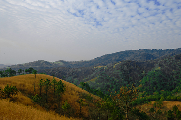 _dsc9103a.jpg