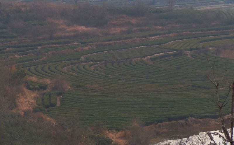 2011 001.jpg