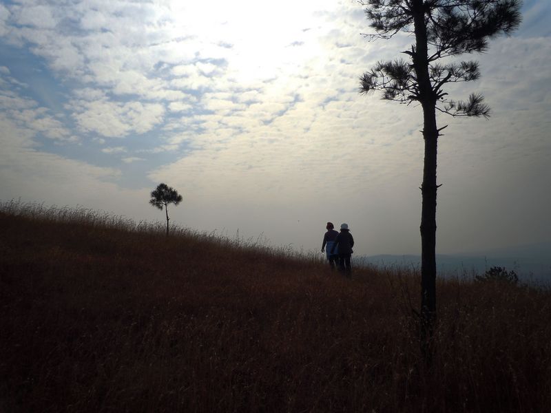 2011 007.jpg