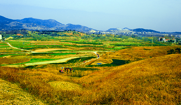 _dsc9228a.jpg