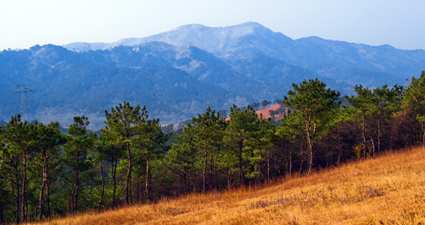 _dsc9241a.jpg