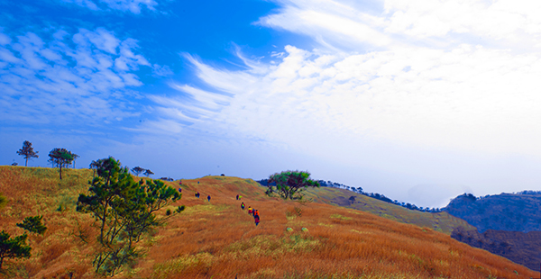 _dsc9255a.jpg