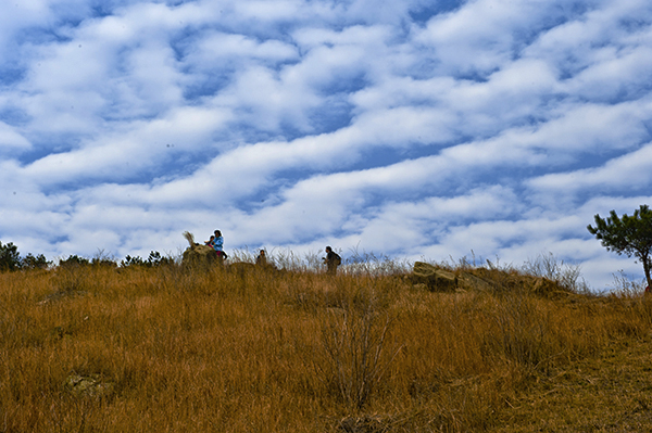 _dsc9115a.jpg