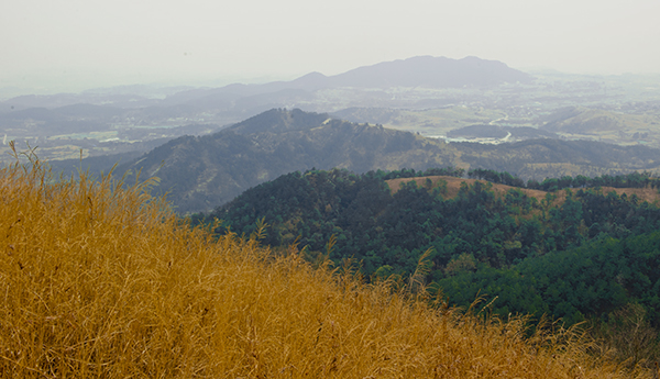 _dsc9142a.jpg