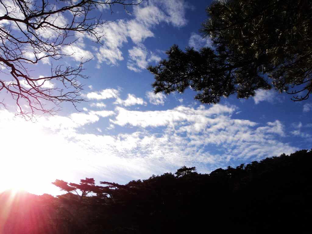 dsc03984.jpg