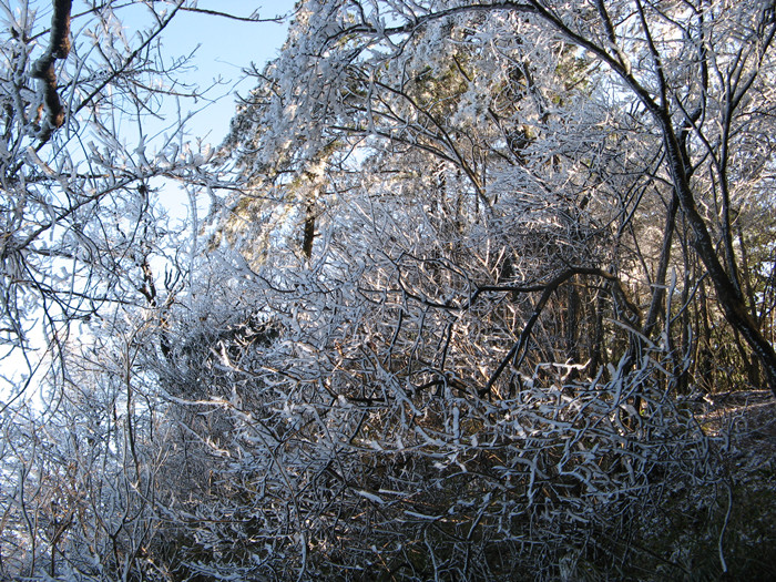 պŵԽ 057_.jpg