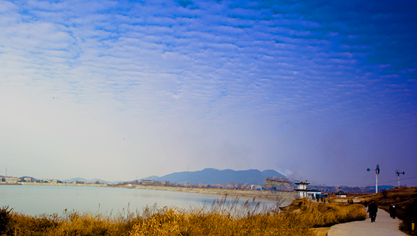 _dsc9311a.jpg