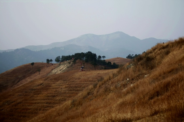 _mg_9733.jpg