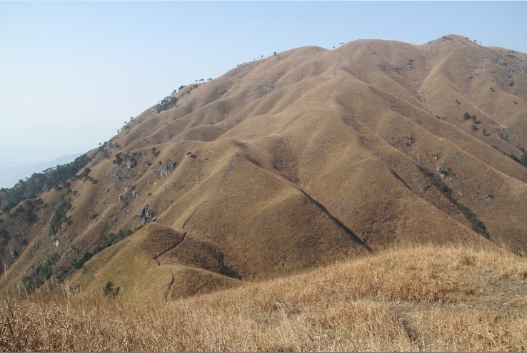 125.jpg