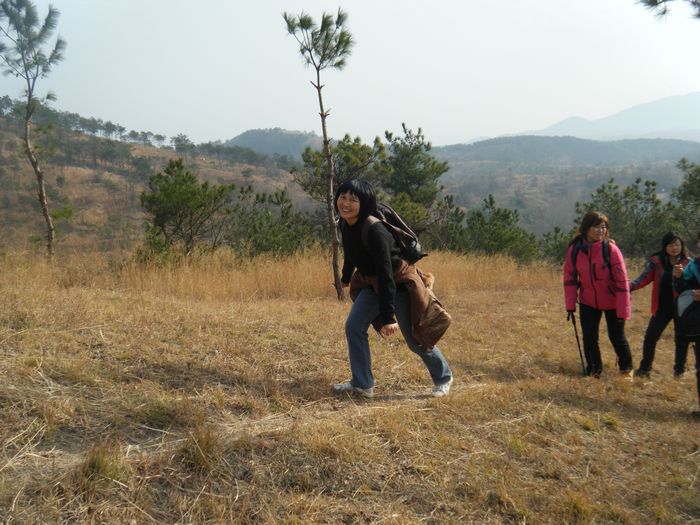 dscf2708.jpg