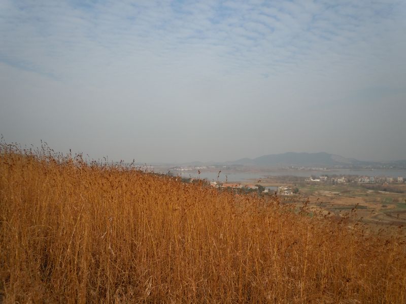 2011 028.jpg