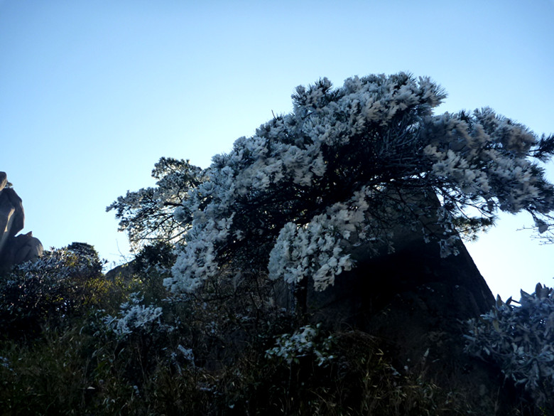 p1100121_.jpg