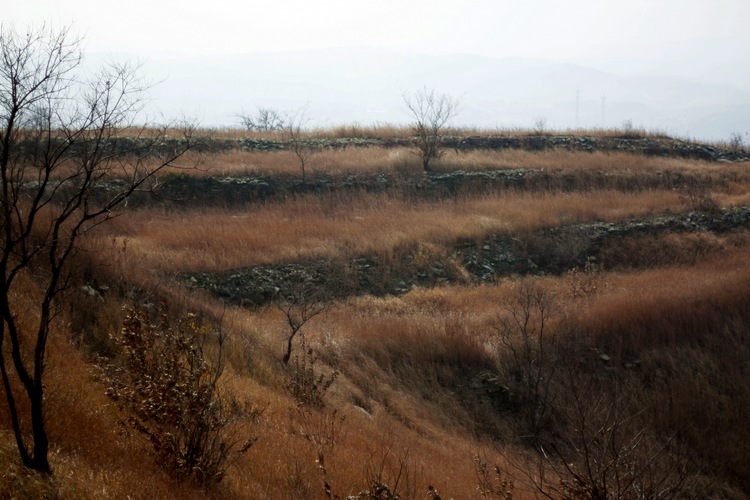 _mg_9750.jpg