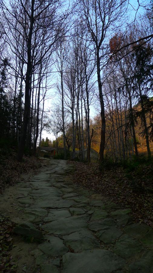 p1160627.jpg