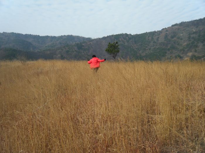 dscf2715.jpg