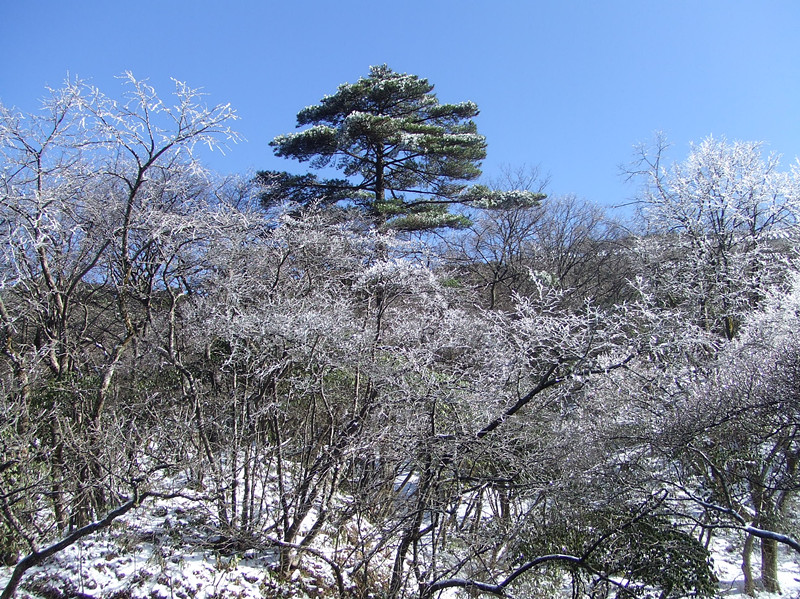 dscf0276_.jpg