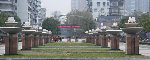 img_3501.jpg
